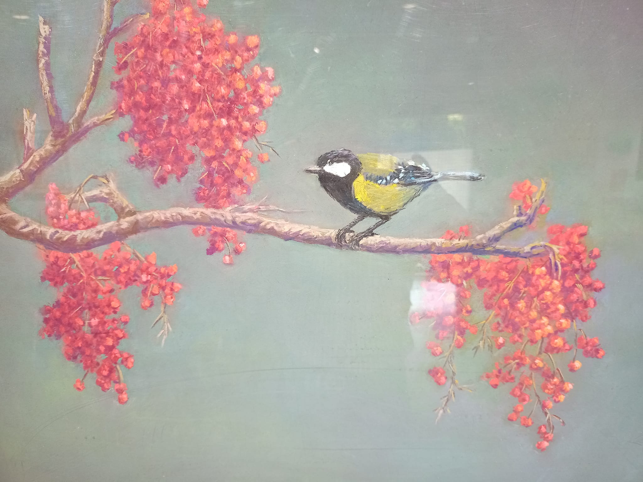 蘋瓶安安雀啼豐碩