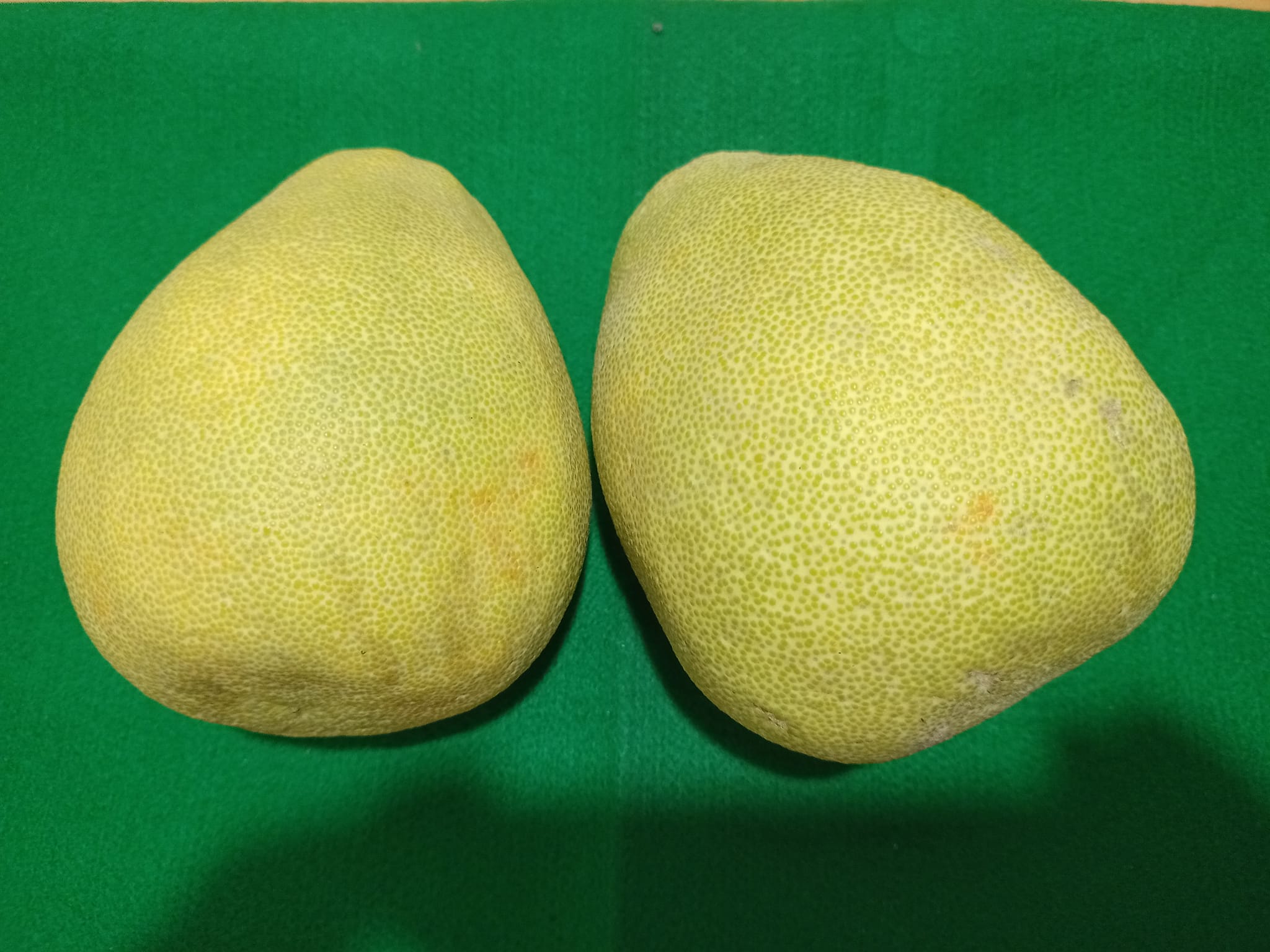 柚，佑也！栽種柚子歷史悠久