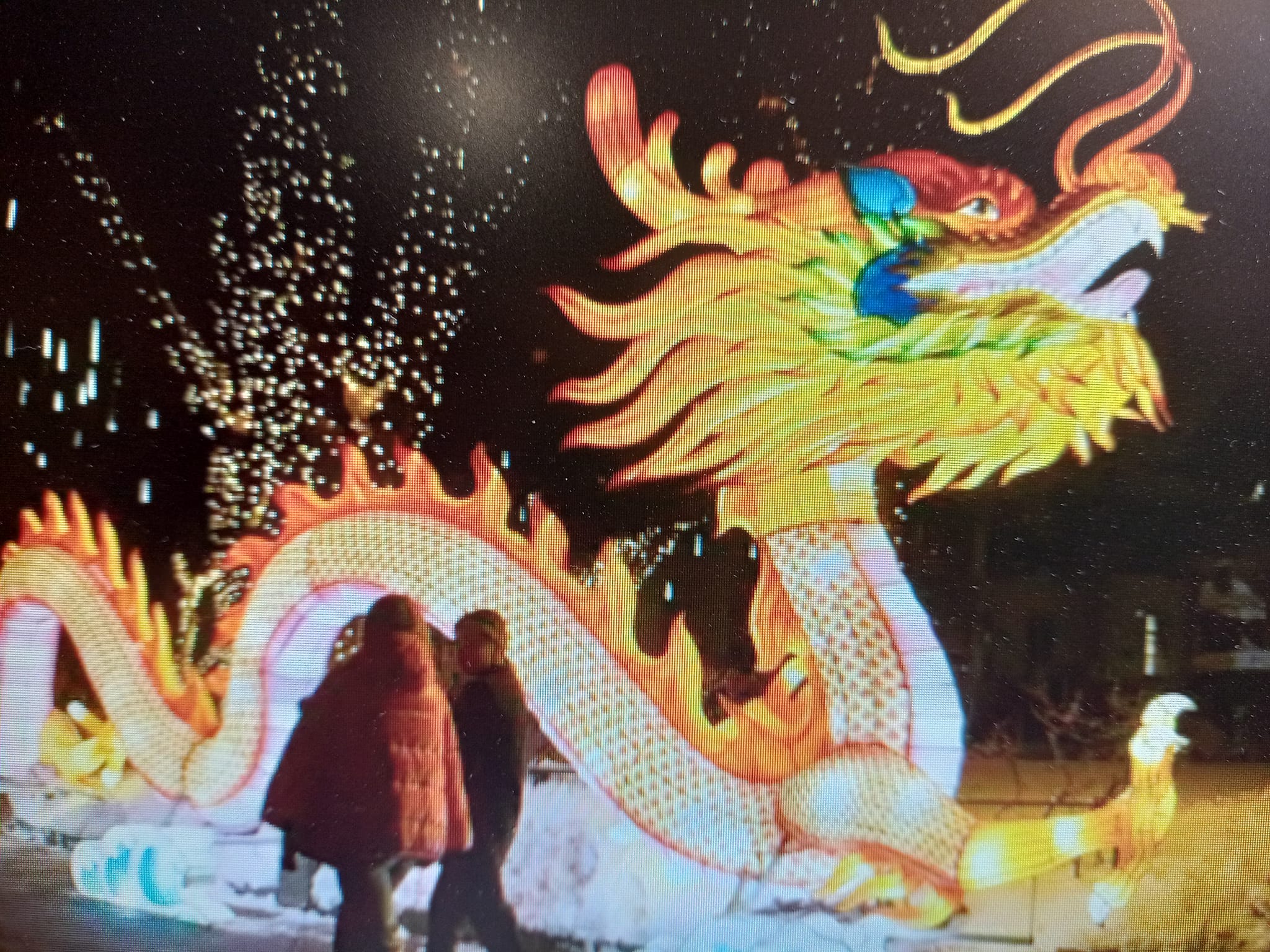 龍年生的大名人