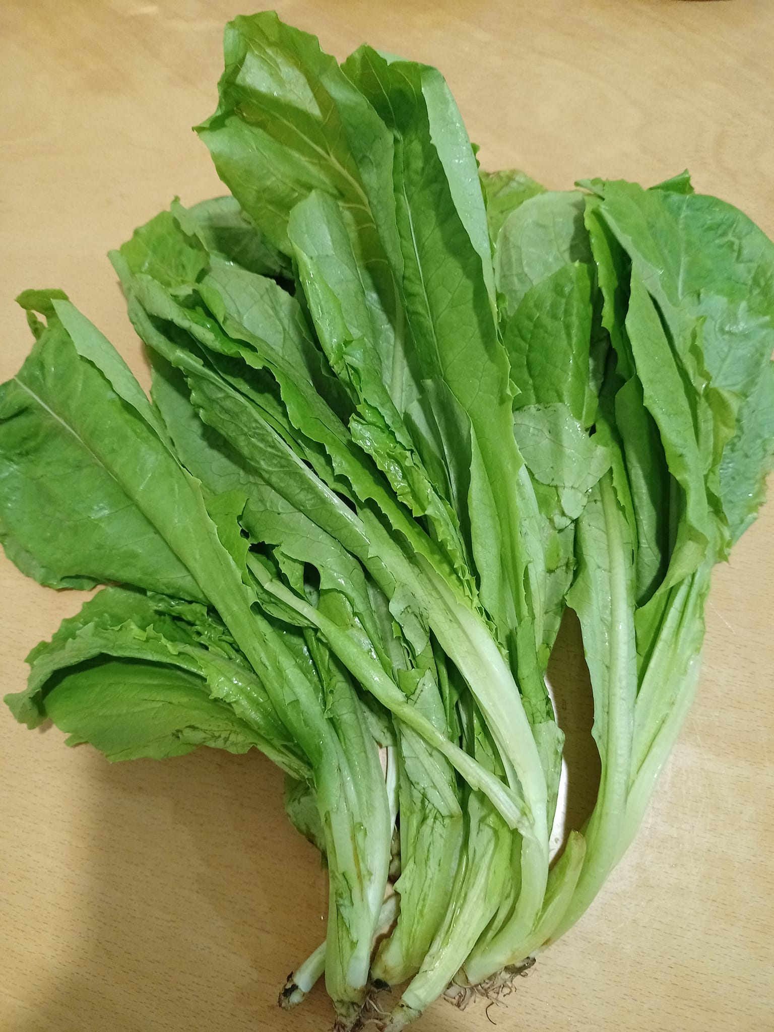 鵝仔菜，A級菜