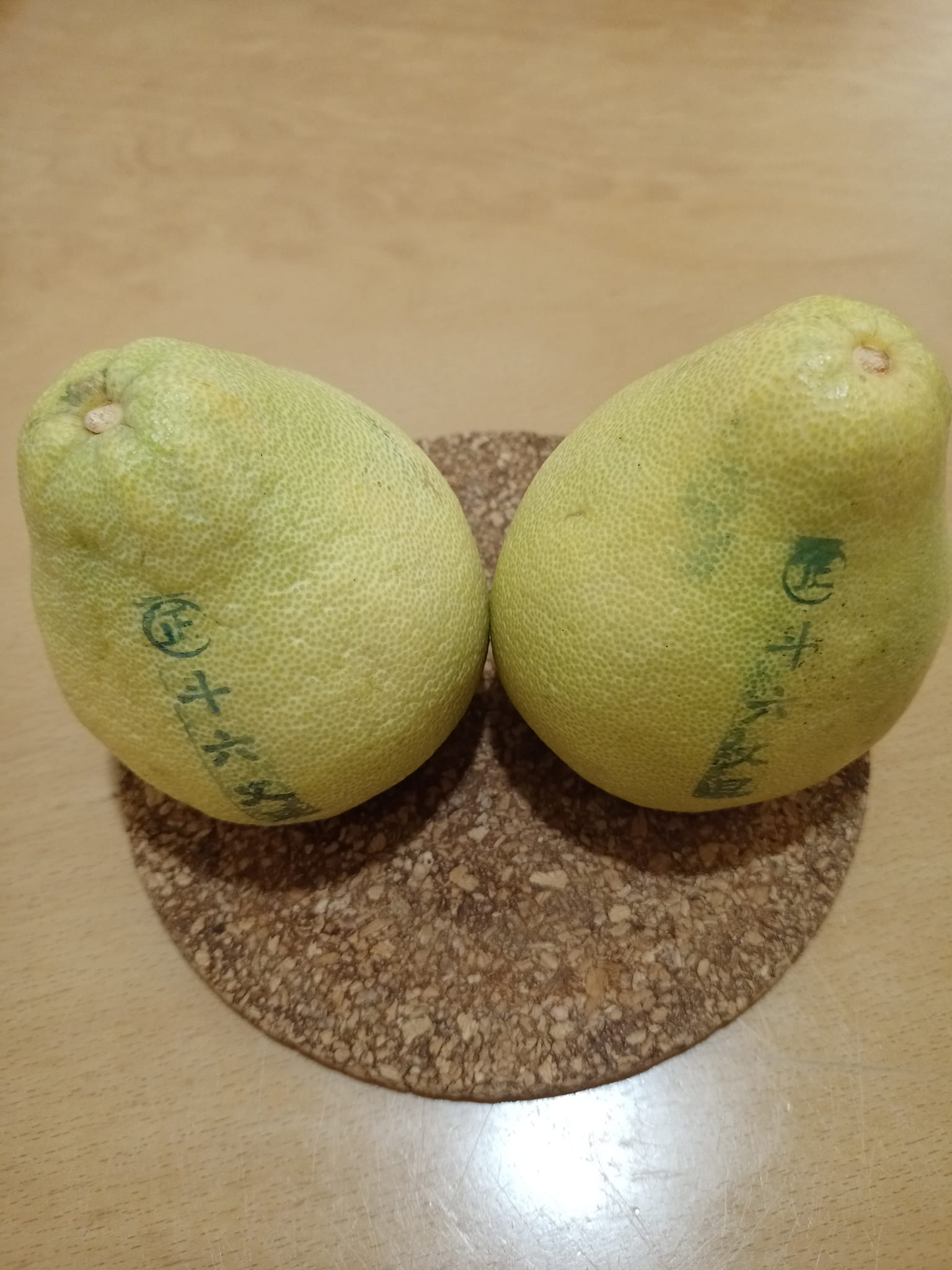 迎中秋看文旦的身世