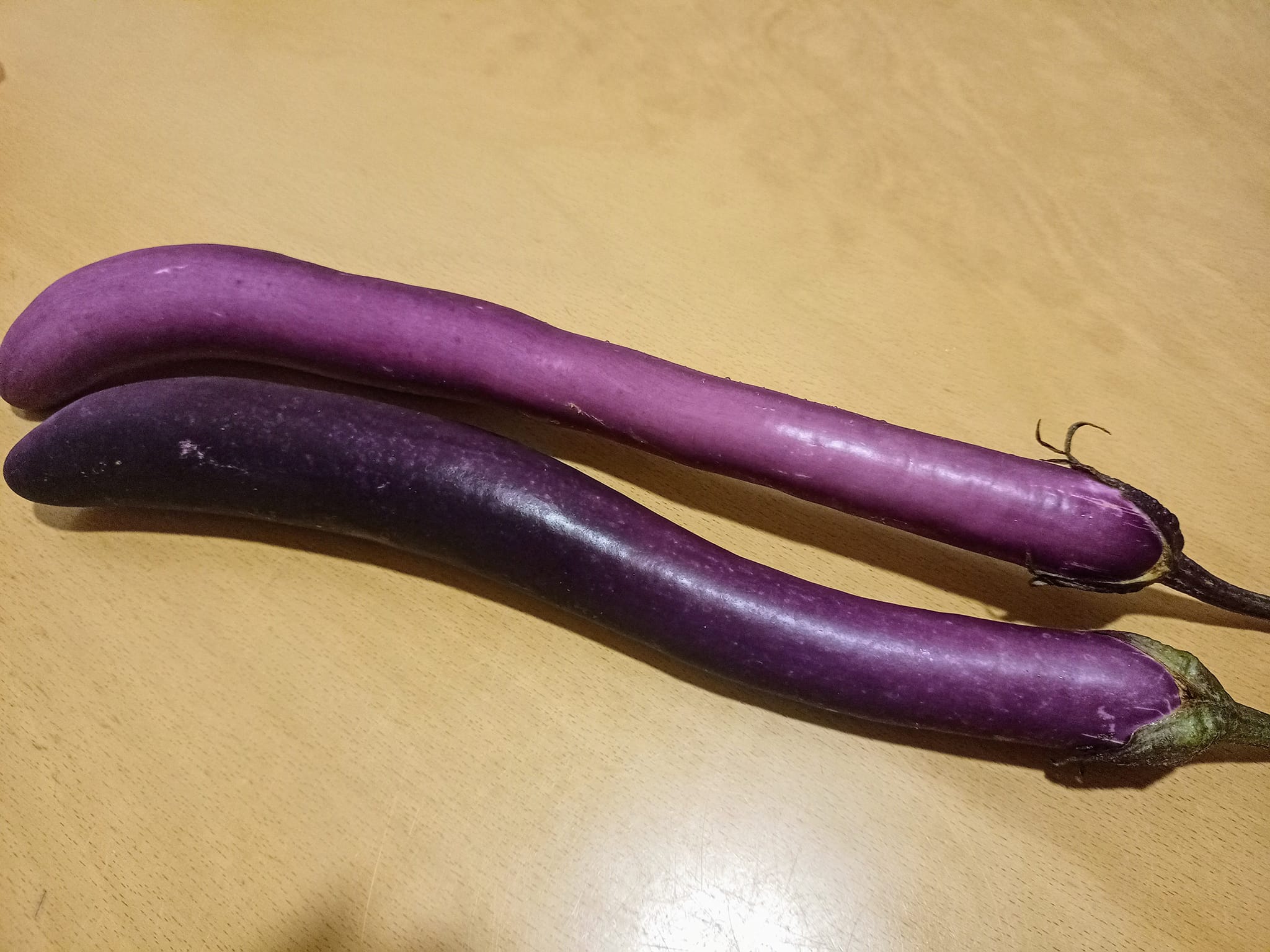 茄子，原本像鵝蛋