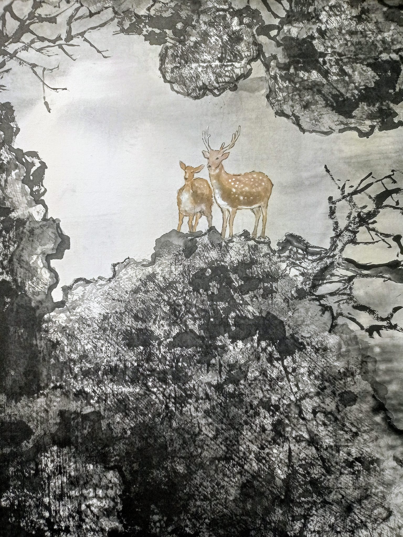 看雙鹿，路路順利