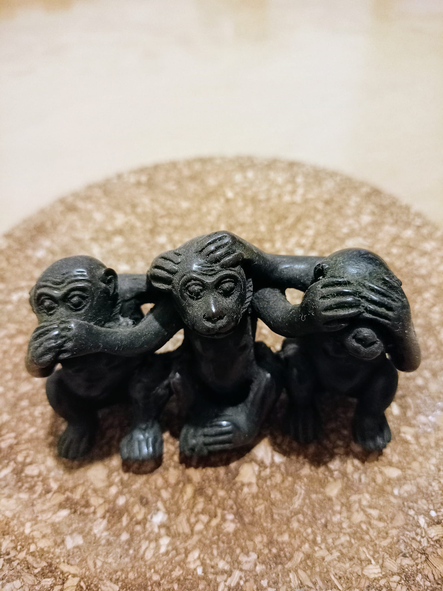 冷氣團下欣賞“三不猴”